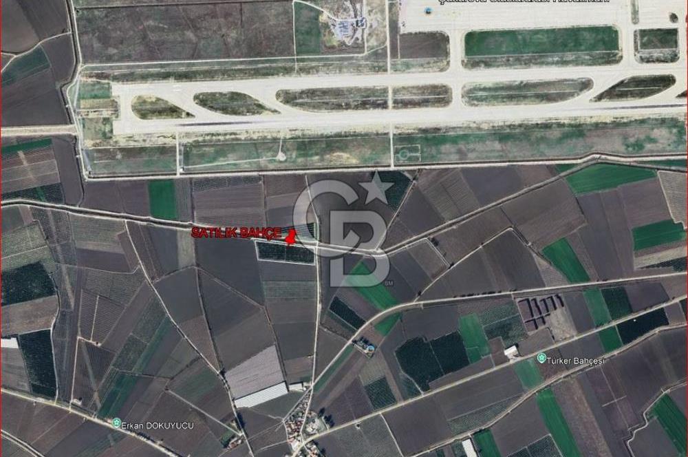 ÇUKUROVA HAVALİMANI YANINDA SATILIK  NARENCİYE BAHÇELERİ