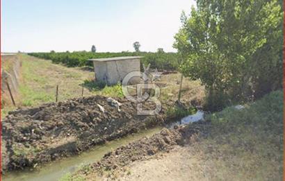 ÇUKUROVA HAVALİMANI YANINDA SATILIK  NARENCİYE BAHÇELERİ