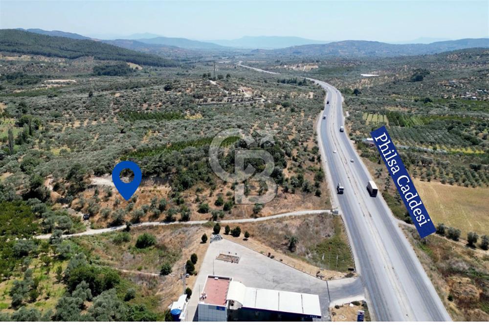 KEMALPAŞA VİŞNELİ'DE 2.483 m2 SATILIK ZEYTİNLİK