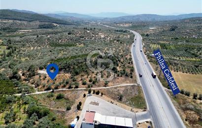 KEMALPAŞA VİŞNELİ'DE 2.483 m2 SATILIK ZEYTİNLİK