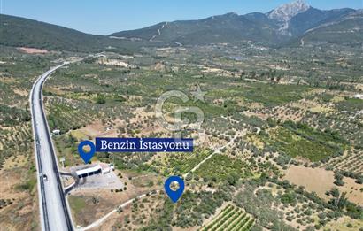 KEMALPAŞA VİŞNELİ'DE 2.483 m2 SATILIK ZEYTİNLİK