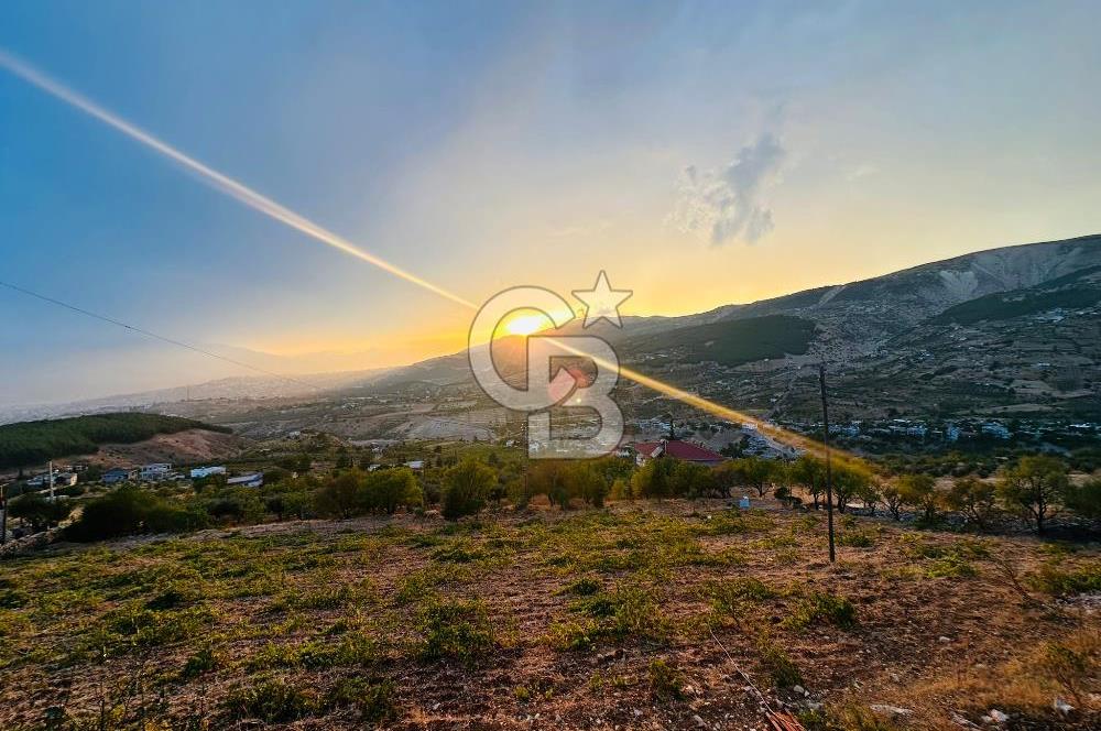 CB'DEN DERELİ'DE TEK TAPU (3.228m2) MERKEZE YAKIN SATILIK BAHÇE