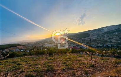 CB'DEN DERELİ'DE TEK TAPU (3.228m2) MERKEZE YAKIN SATILIK BAHÇE