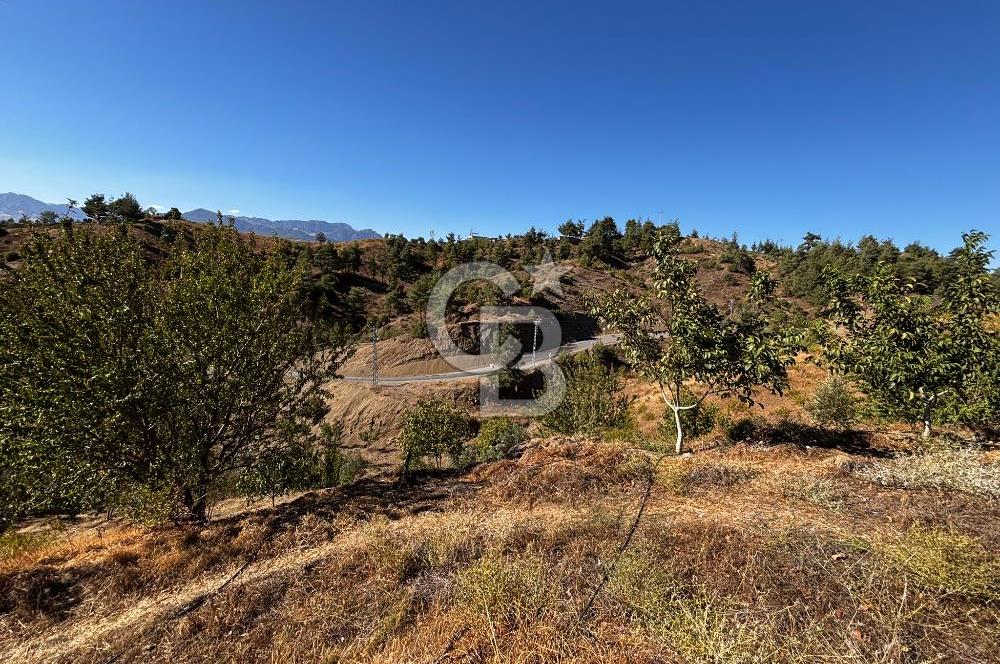 CB'DEN TEK TAPU (2.538 m2) DOĞA MANZARALI SATILIK BAHÇE