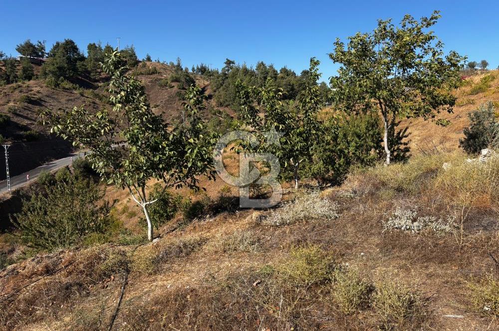 CB'DEN TEK TAPU (2.538 m2) DOĞA MANZARALI SATILIK BAHÇE