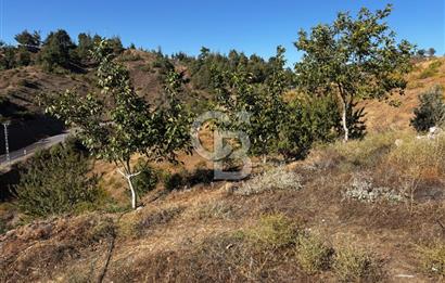 CB'DEN TEK TAPU (2.538 m2) DOĞA MANZARALI SATILIK BAHÇE