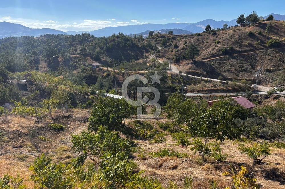 CB'DEN TEK TAPU (2.538 m2) DOĞA MANZARALI SATILIK BAHÇE
