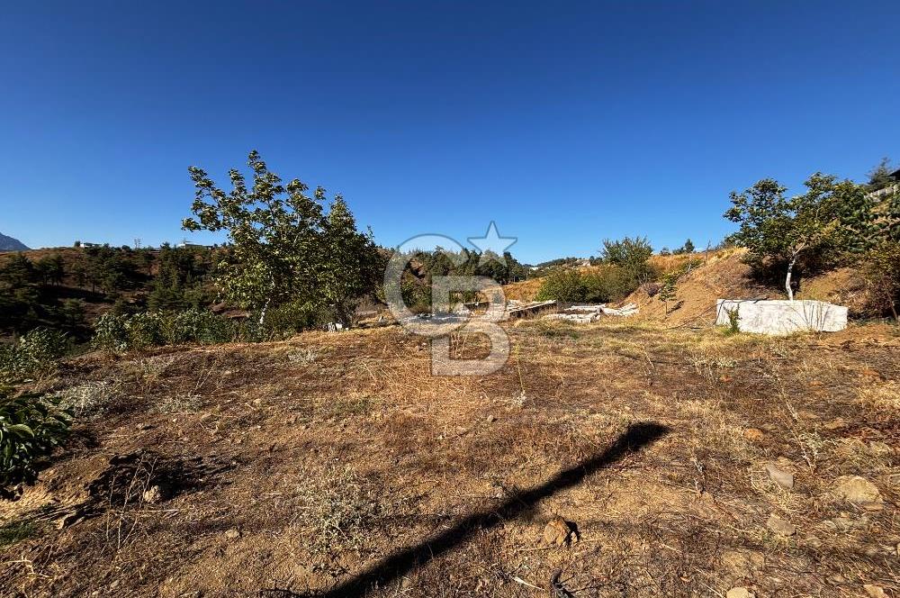CB'DEN TEK TAPU (2.538 m2) DOĞA MANZARALI SATILIK BAHÇE