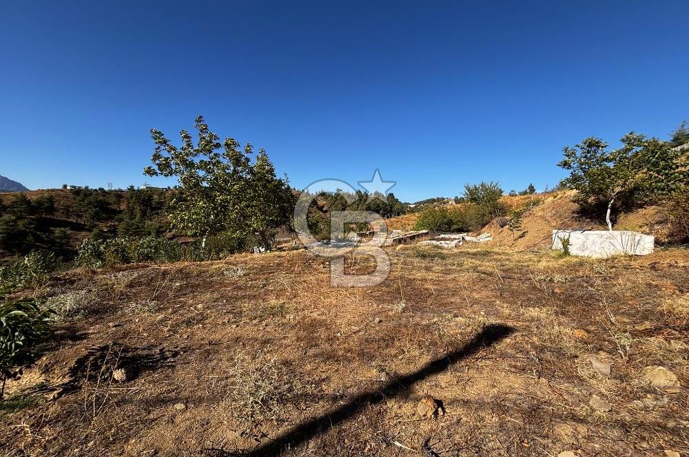 CB'DEN TEK TAPU (2.538 m2) DOĞA MANZARALI SATILIK BAHÇE