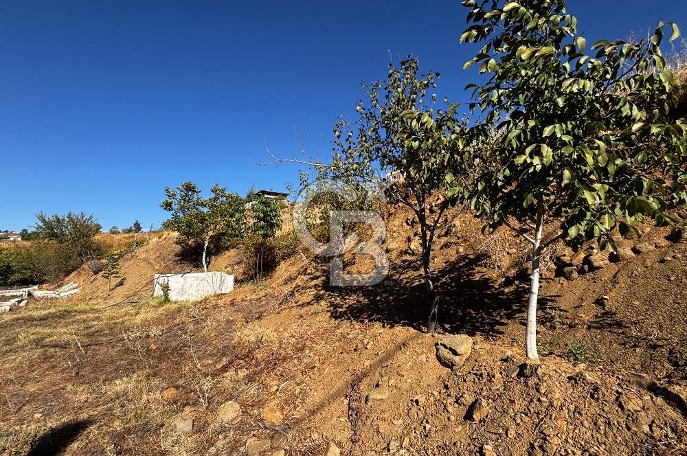 CB'DEN TEK TAPU (2.538 m2) DOĞA MANZARALI SATILIK BAHÇE