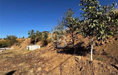 CB'DEN TEK TAPU (2.538 m2) DOĞA MANZARALI SATILIK BAHÇE