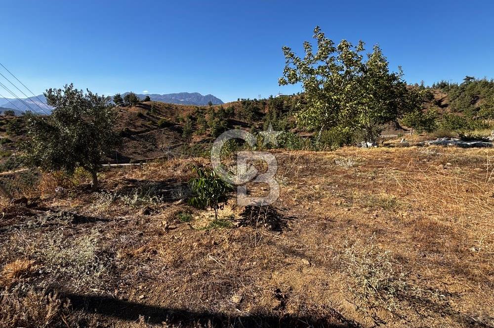 CB'DEN TEK TAPU (2.538 m2) DOĞA MANZARALI SATILIK BAHÇE
