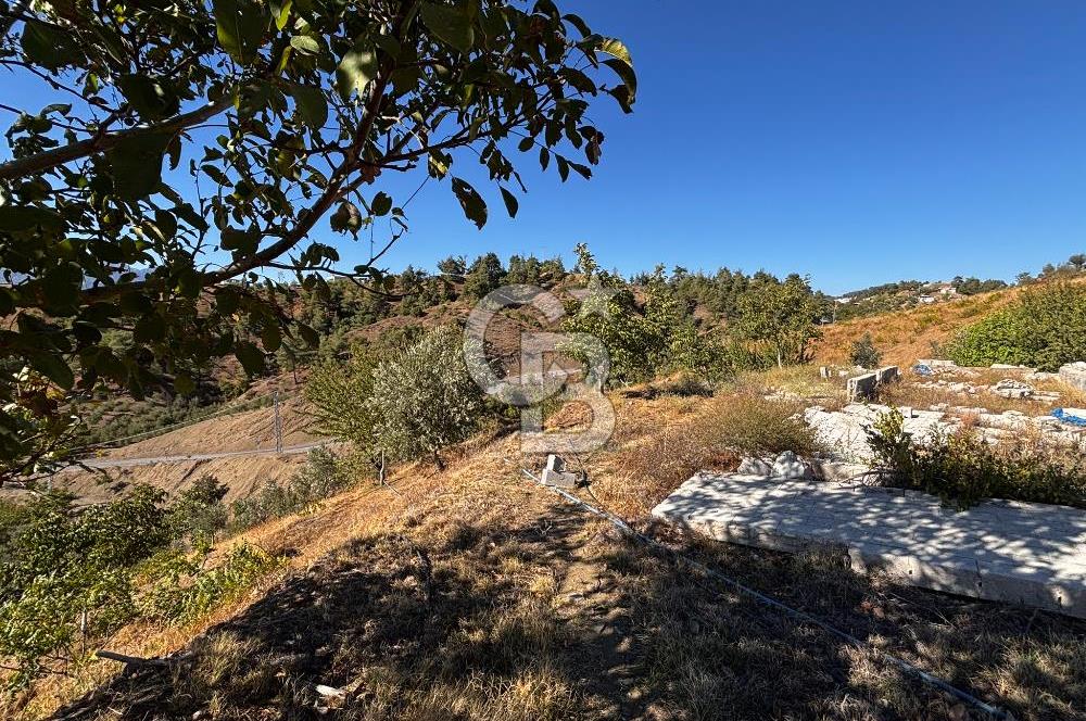 CB'DEN TEK TAPU (2.538 m2) DOĞA MANZARALI SATILIK BAHÇE