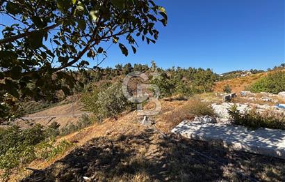 CB'DEN TEK TAPU (2.538 m2) DOĞA MANZARALI SATILIK BAHÇE