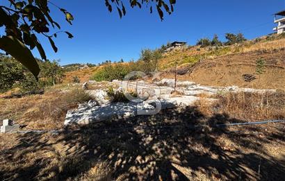 CB'DEN TEK TAPU (2.538 m2) DOĞA MANZARALI SATILIK BAHÇE