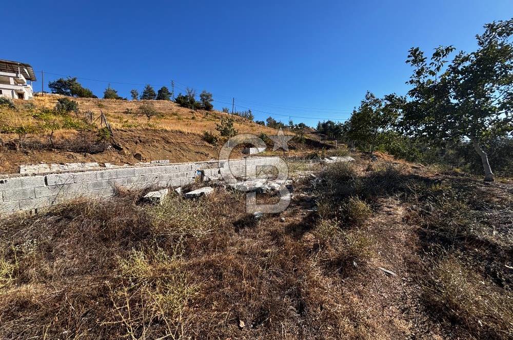CB'DEN TEK TAPU (2.538 m2) DOĞA MANZARALI SATILIK BAHÇE