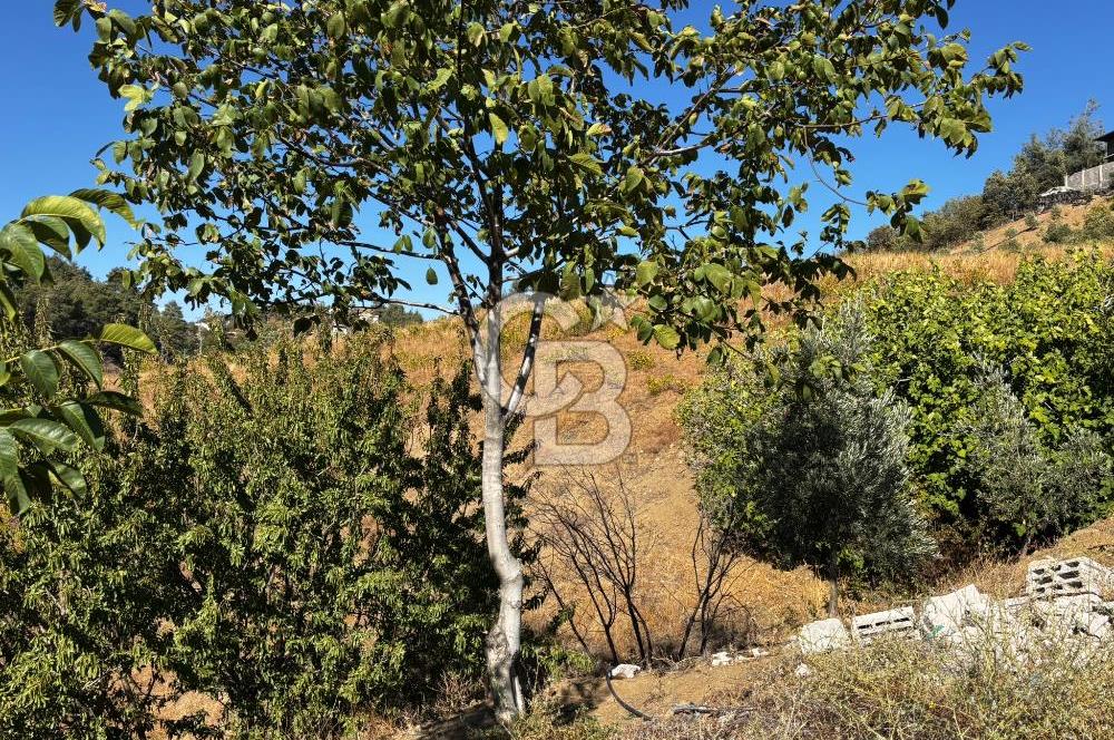 CB'DEN TEK TAPU (2.538 m2) DOĞA MANZARALI SATILIK BAHÇE