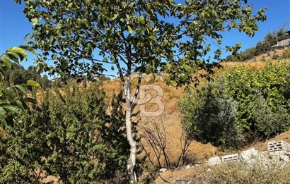 CB'DEN TEK TAPU (2.538 m2) DOĞA MANZARALI SATILIK BAHÇE
