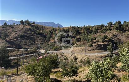 CB'DEN TEK TAPU (2.538 m2) DOĞA MANZARALI SATILIK BAHÇE