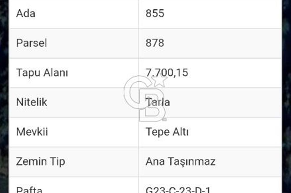 İznik Elmalı Satılık Tarla