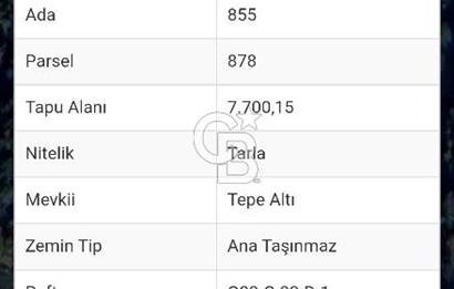 İznik Elmalı Satılık Tarla