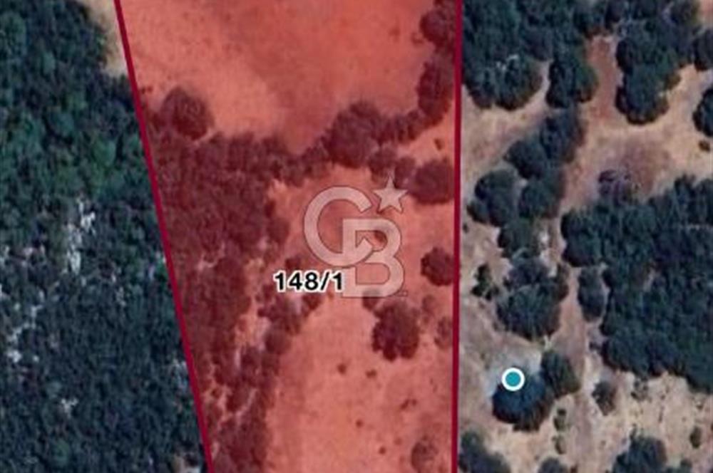 CB GİZ'DEN KAŞ PINARBAŞI'NDA SATILIK ARAZİ