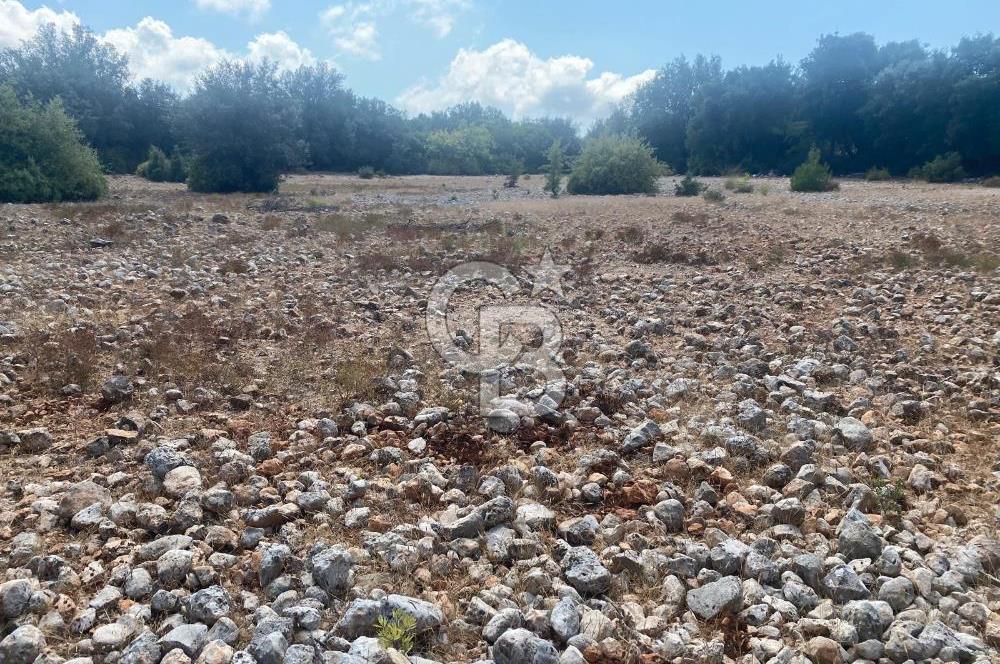 CB GİZ'DEN KAŞ PINARBAŞI'NDA SATILIK ARAZİ