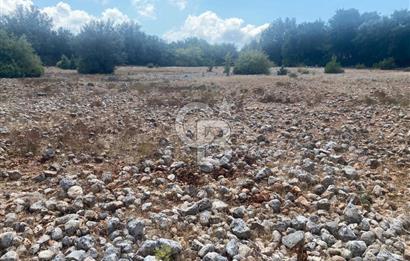 CB GİZ'DEN KAŞ PINARBAŞI'NDA SATILIK ARAZİ