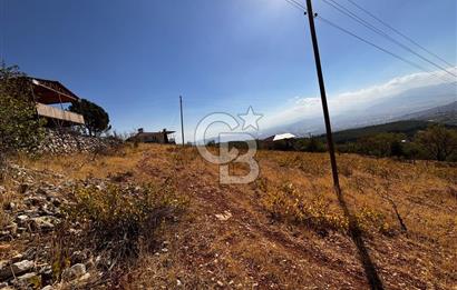 CB'DEN DERELİ'DE TEK TAPU (3.228m2) MERKEZE YAKIN SATILIK BAHÇE