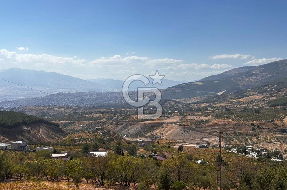CB'DEN DERELİ'DE TEK TAPU (3.228m2) MERKEZE YAKIN SATILIK BAHÇE