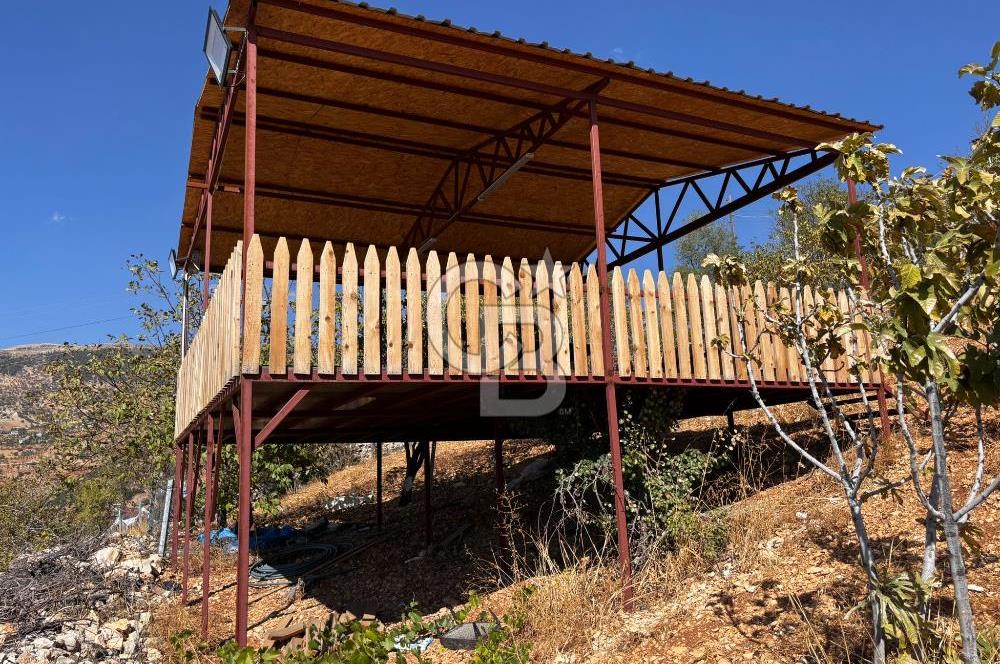 CB'DEN DERELİ'DE TEK TAPU (3.228m2) MERKEZE YAKIN SATILIK BAHÇE