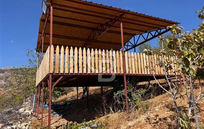 CB'DEN DERELİ'DE TEK TAPU (3.228m2) MERKEZE YAKIN SATILIK BAHÇE