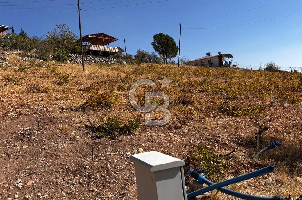 CB'DEN DERELİ'DE TEK TAPU (3.228m2) MERKEZE YAKIN SATILIK BAHÇE