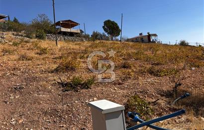 CB'DEN DERELİ'DE TEK TAPU (3.228m2) MERKEZE YAKIN SATILIK BAHÇE