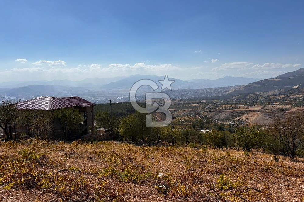CB'DEN DERELİ'DE TEK TAPU (3.228m2) MERKEZE YAKIN SATILIK BAHÇE