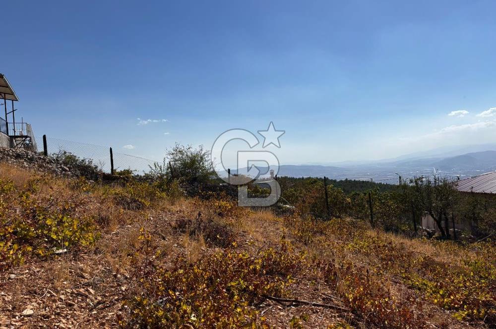 CB'DEN DERELİ'DE TEK TAPU (3.228m2) MERKEZE YAKIN SATILIK BAHÇE