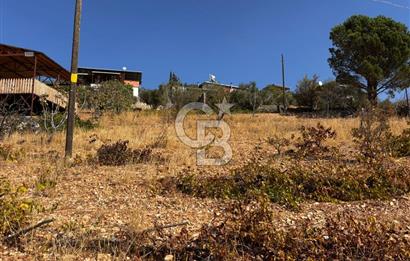 CB'DEN DERELİ'DE TEK TAPU (3.228m2) MERKEZE YAKIN SATILIK BAHÇE