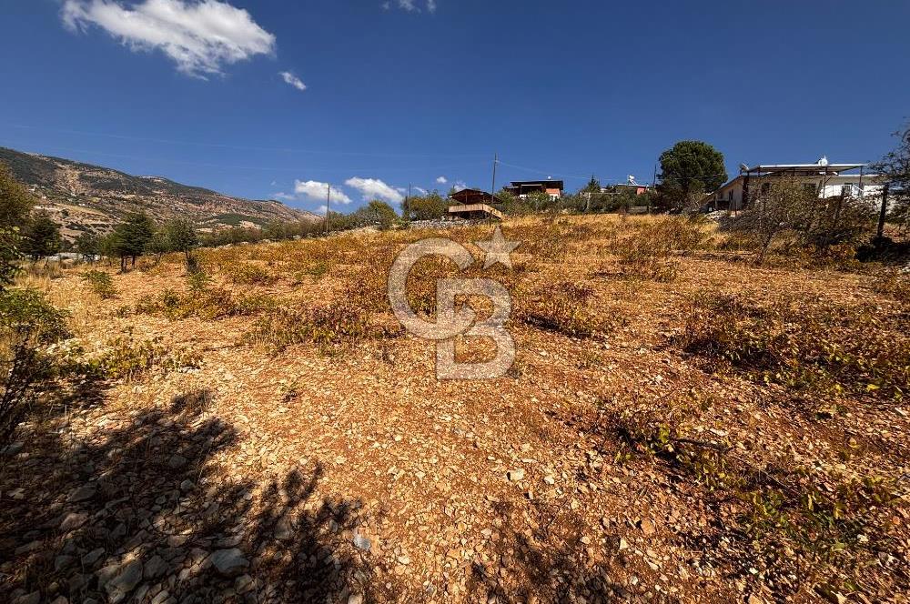 CB'DEN DERELİ'DE TEK TAPU (3.228m2) MERKEZE YAKIN SATILIK BAHÇE