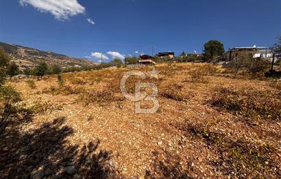 CB'DEN DERELİ'DE TEK TAPU (3.228m2) MERKEZE YAKIN SATILIK BAHÇE