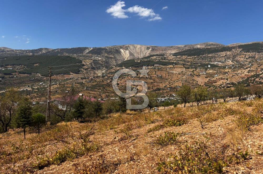 CB'DEN DERELİ'DE TEK TAPU (3.228m2) MERKEZE YAKIN SATILIK BAHÇE