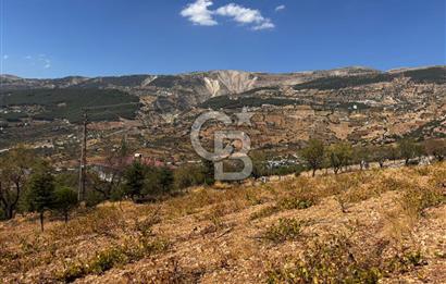 CB'DEN DERELİ'DE TEK TAPU (3.228m2) MERKEZE YAKIN SATILIK BAHÇE