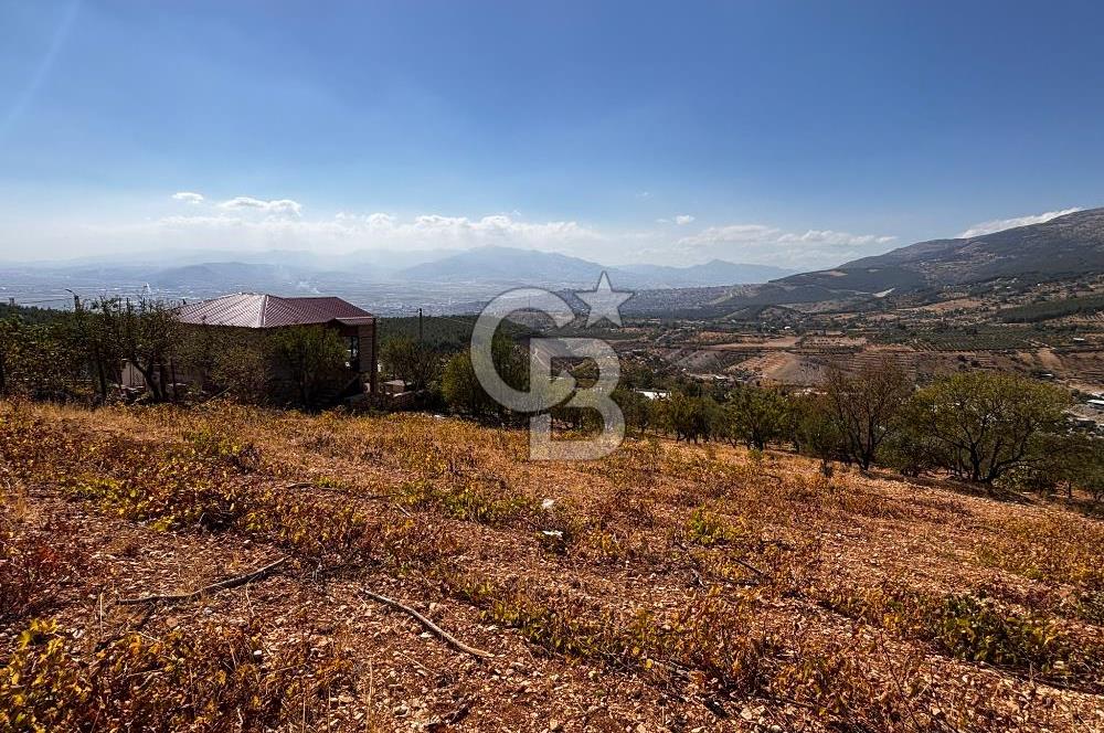 CB'DEN DERELİ'DE TEK TAPU (3.228m2) MERKEZE YAKIN SATILIK BAHÇE