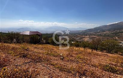 CB'DEN DERELİ'DE TEK TAPU (3.228m2) MERKEZE YAKIN SATILIK BAHÇE