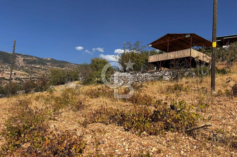 CB'DEN DERELİ'DE TEK TAPU (3.228m2) MERKEZE YAKIN SATILIK BAHÇE