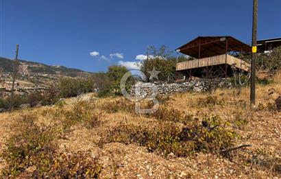 CB'DEN DERELİ'DE TEK TAPU (3.228m2) MERKEZE YAKIN SATILIK BAHÇE