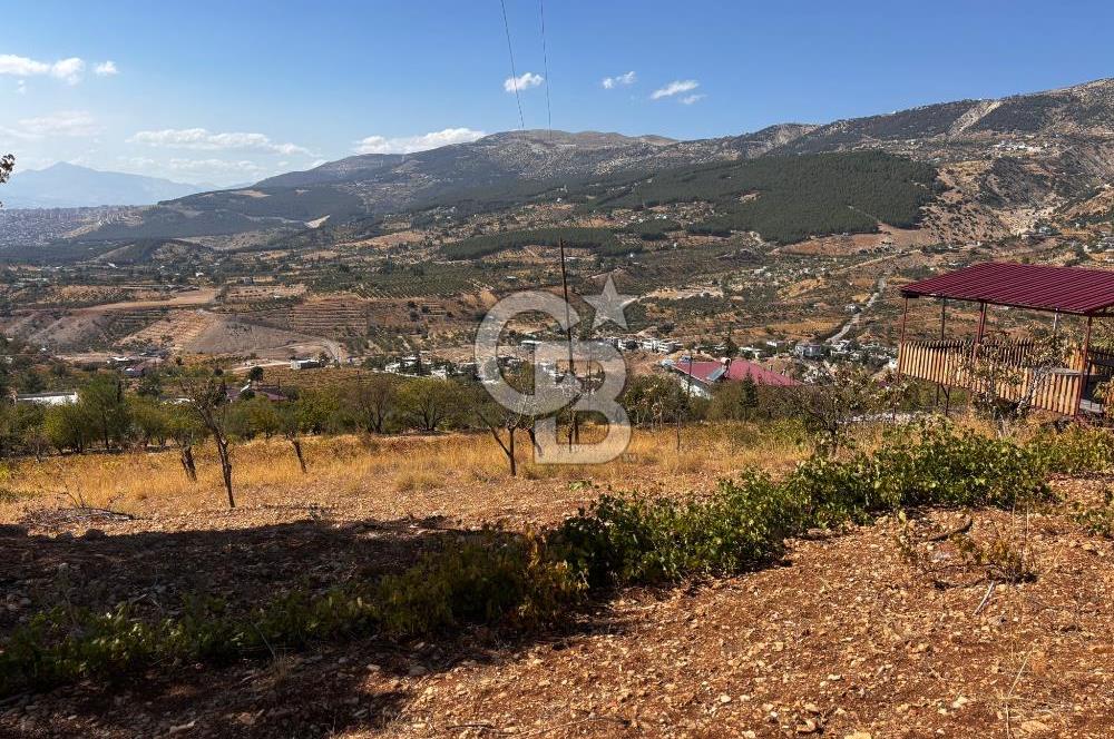 CB'DEN DERELİ'DE TEK TAPU (3.228m2) MERKEZE YAKIN SATILIK BAHÇE