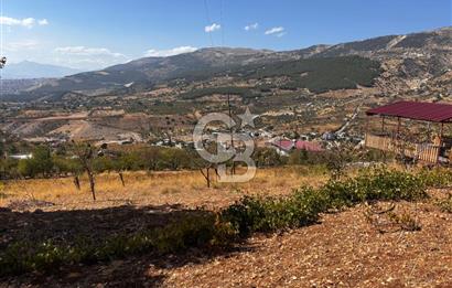 CB'DEN DERELİ'DE TEK TAPU (3.228m2) MERKEZE YAKIN SATILIK BAHÇE