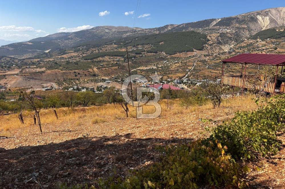 CB'DEN DERELİ'DE TEK TAPU (3.228m2) MERKEZE YAKIN SATILIK BAHÇE