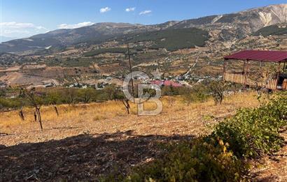 CB'DEN DERELİ'DE TEK TAPU (3.228m2) MERKEZE YAKIN SATILIK BAHÇE