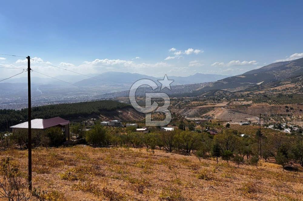 CB'DEN DERELİ'DE TEK TAPU (3.228m2) MERKEZE YAKIN SATILIK BAHÇE